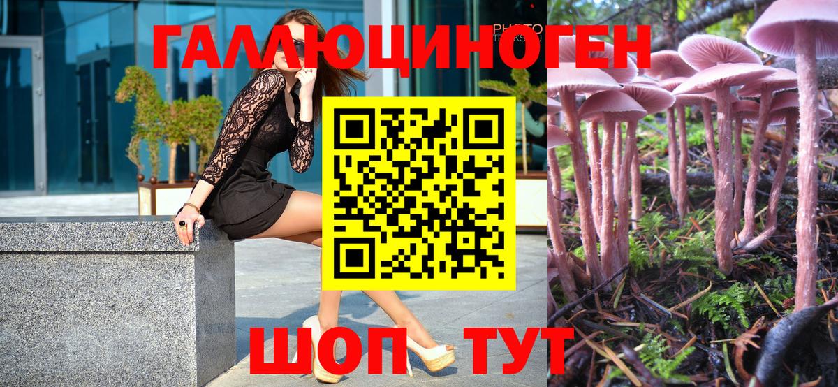 Рыбинск  Галлюциногенные грибы ЛСД  Псилоцибиновые грибы MAGIC MUSHROOMS  Вход с VPN 